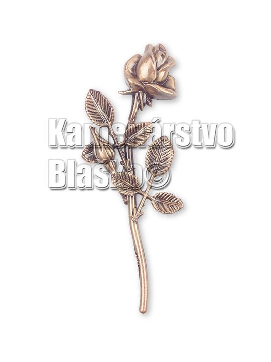 Ruza Bronz 3711